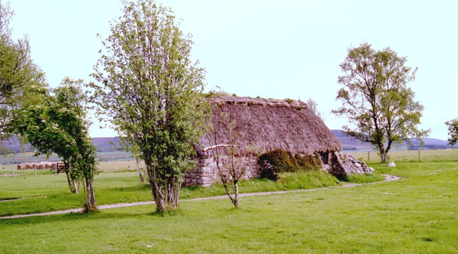 Culloden - Croft